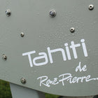 Rene Pierre Tahiti Outdoor Foosball Table